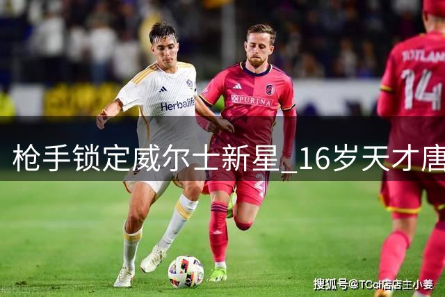 枪手锁定威尔士新星 16岁天才唐切夫即将加盟